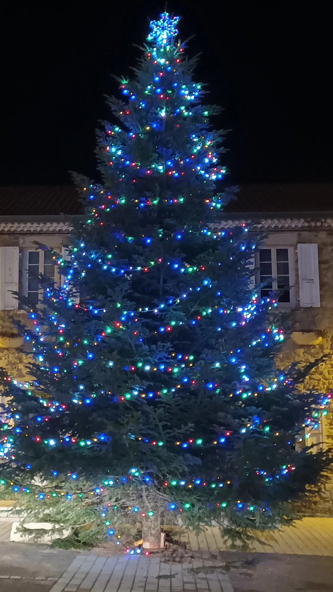 R_Hugon_43's tweet photo. Mon village natal #Pinols avec toujours un #sapinNoel2021 magnifique.
Normal en zone forestière de la #Margerite 
Un travail des habitants et des employés communaux avec le partenariat du Garde Forestier.
Ça coûte de l'huile de coude et un peu de vin chaud.
 #HauteLoire #Auvergne https://t.co/xNpF9PT4LU