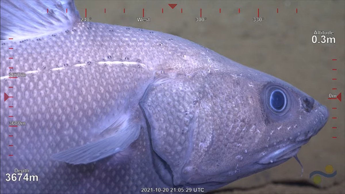 Nuni | 21 | He/they tweet media