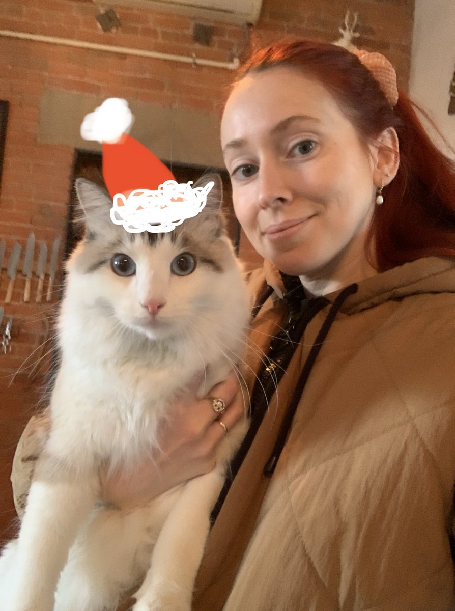 Happy holidays! From me and not my cat.