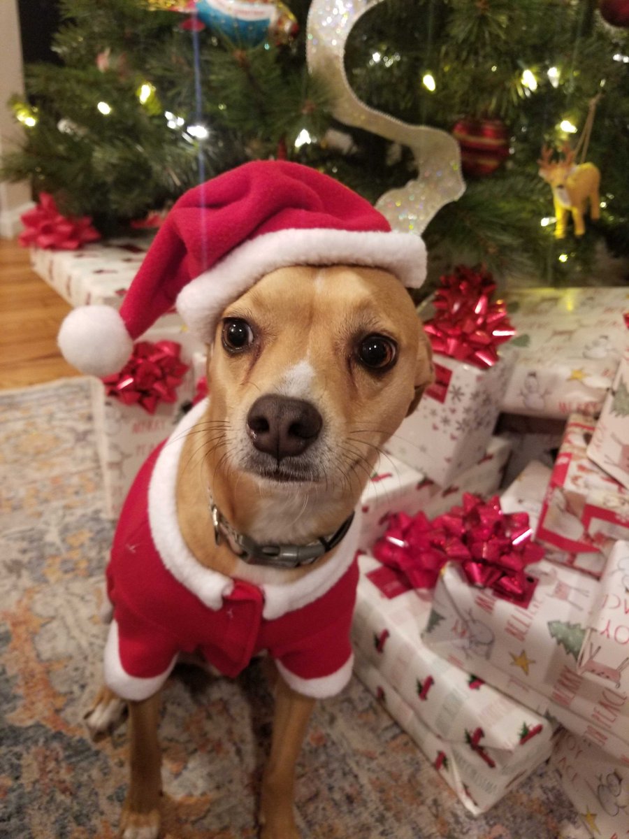 ActiveCampaign's tweet photo. Happy Holidays from all of us at ActiveCampaign! We wish everyone a safe and happy holiday season and are thankful for your support this year! ❤️🎄
#thankful #grateful #happyholidays #makeeachmomentcount #holidaycheer https://t.co/dj8lqm8JGj