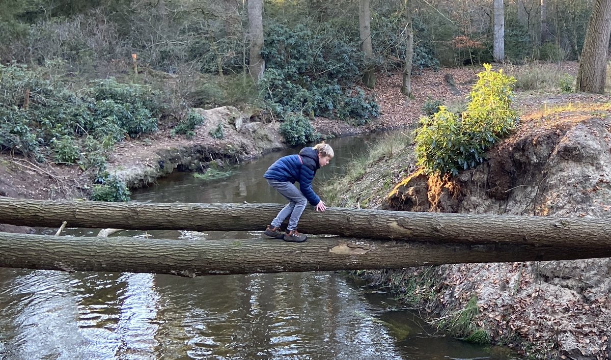 mveldhuis76's tweet photo. Sabine en Thomas steken de #Buurserbeek over via een boomstam😊 met vorst fijn dat ze er niet in vielen😅 #lankheet #spelenindenatuur #beekjeoversteken https://t.co/zcW6EJ0OtR