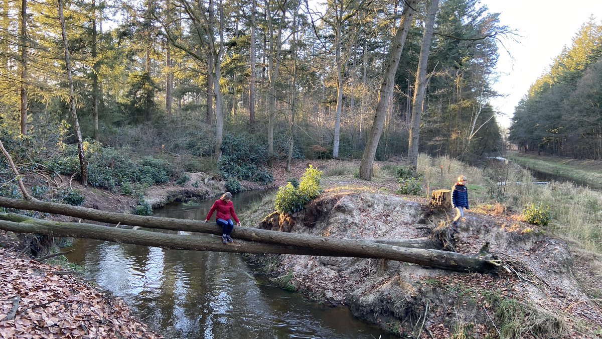 mveldhuis76's tweet photo. Sabine en Thomas steken de #Buurserbeek over via een boomstam😊 met vorst fijn dat ze er niet in vielen😅 #lankheet #spelenindenatuur #beekjeoversteken https://t.co/zcW6EJ0OtR