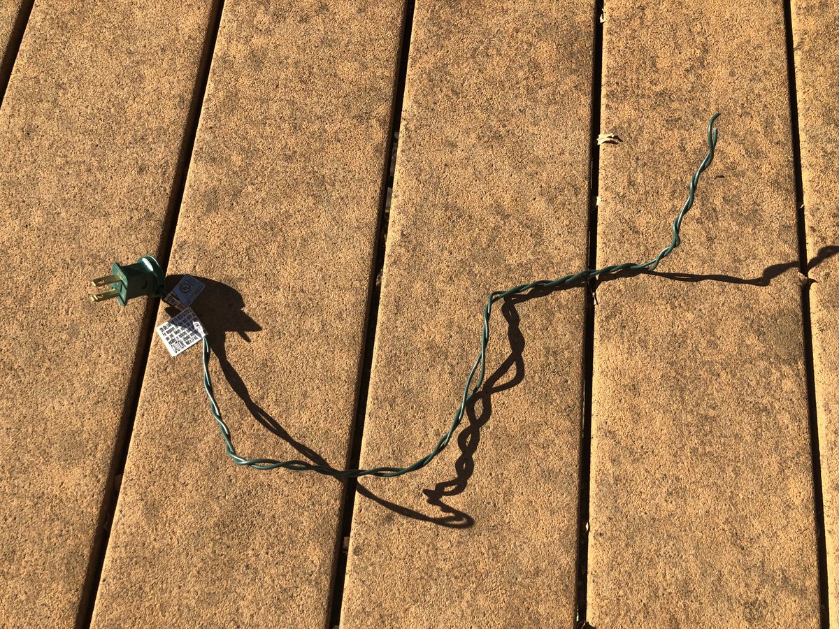 Squirrels keep chewing through my Christmas lights. Where’s Cousin Eddie when you need him? He usually eats these damn things.