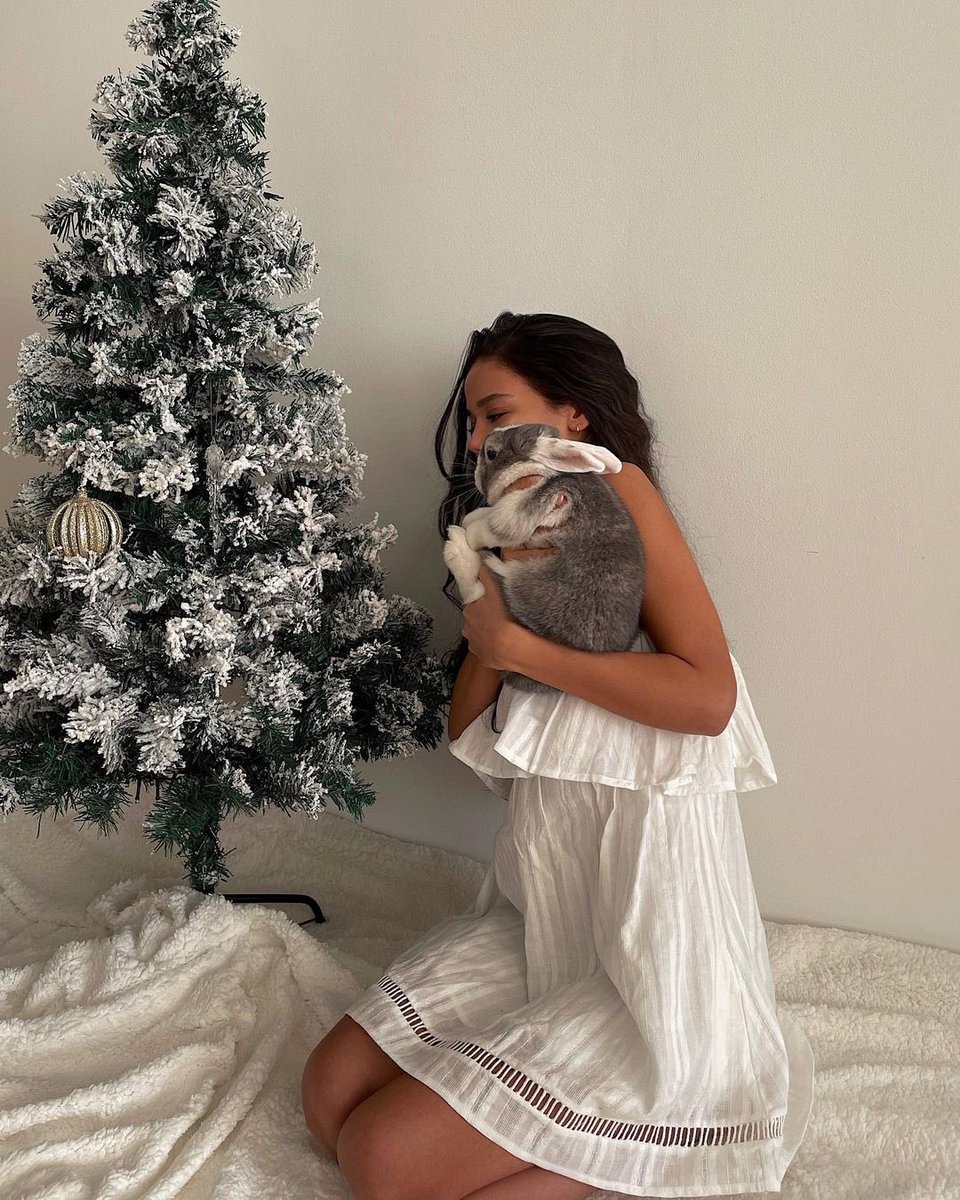 DeliaJones_PL's tweet photo. merry xmas 🎄🐰 https://t.co/zH6TJN3AAr