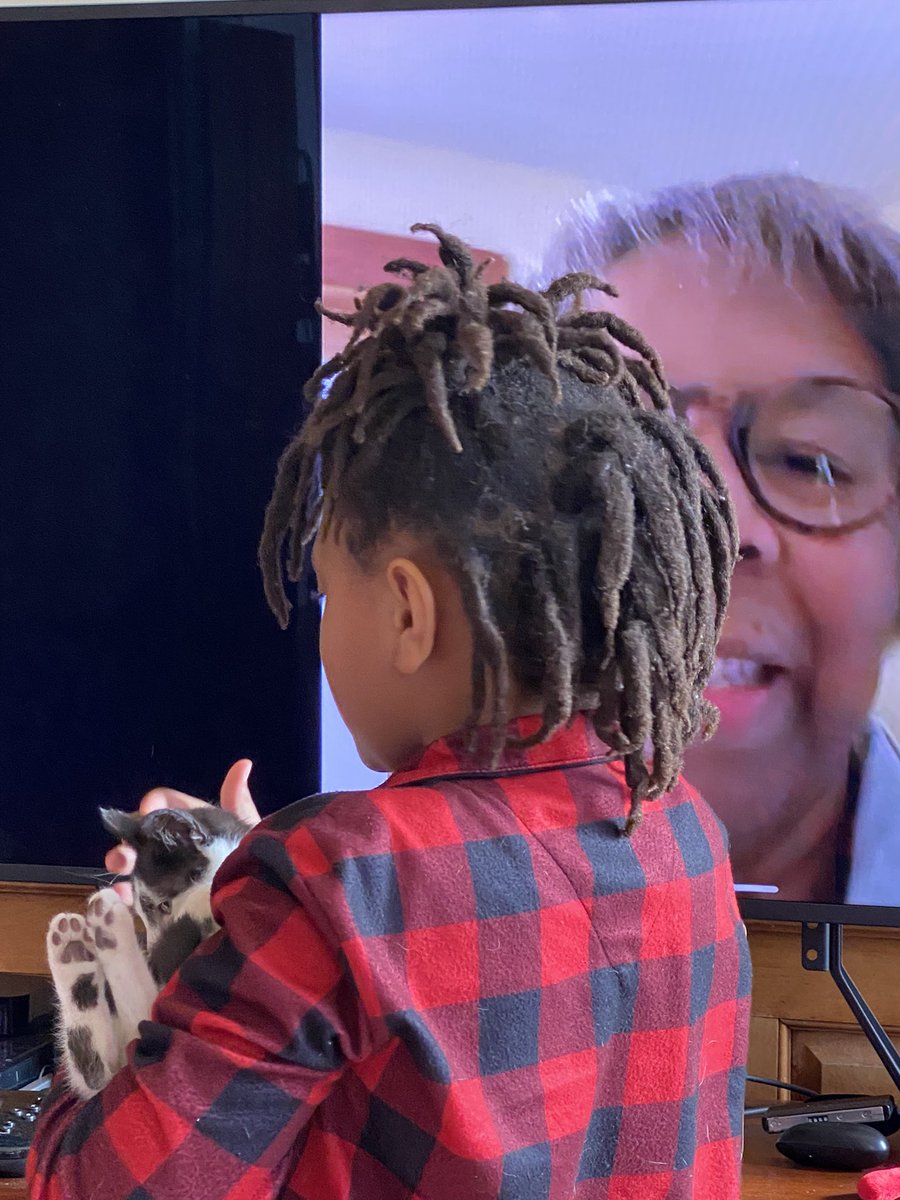 MHarrisPerry's tweet image. #BabyNerd introducing her Christmas kitty 🐈‍⬛ to Grandma via FaceTime.