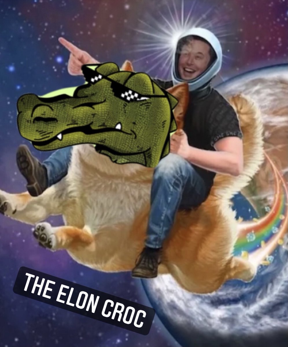Croc Club tweet media