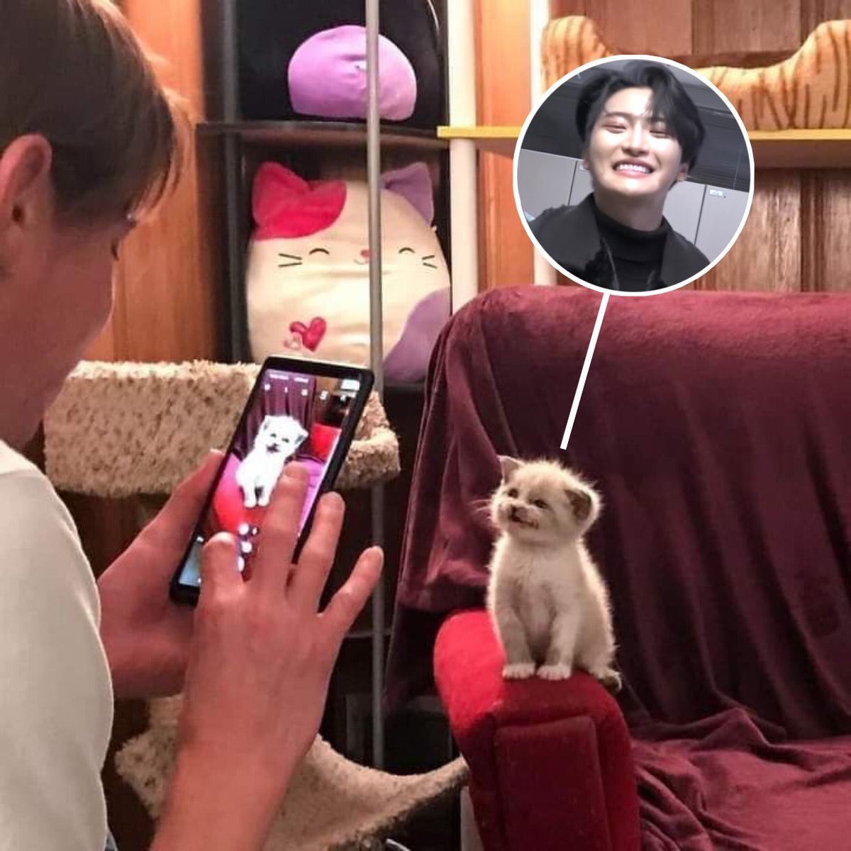 hwa4eva's tweet photo. https://t.co/svfzwrRRXZ
