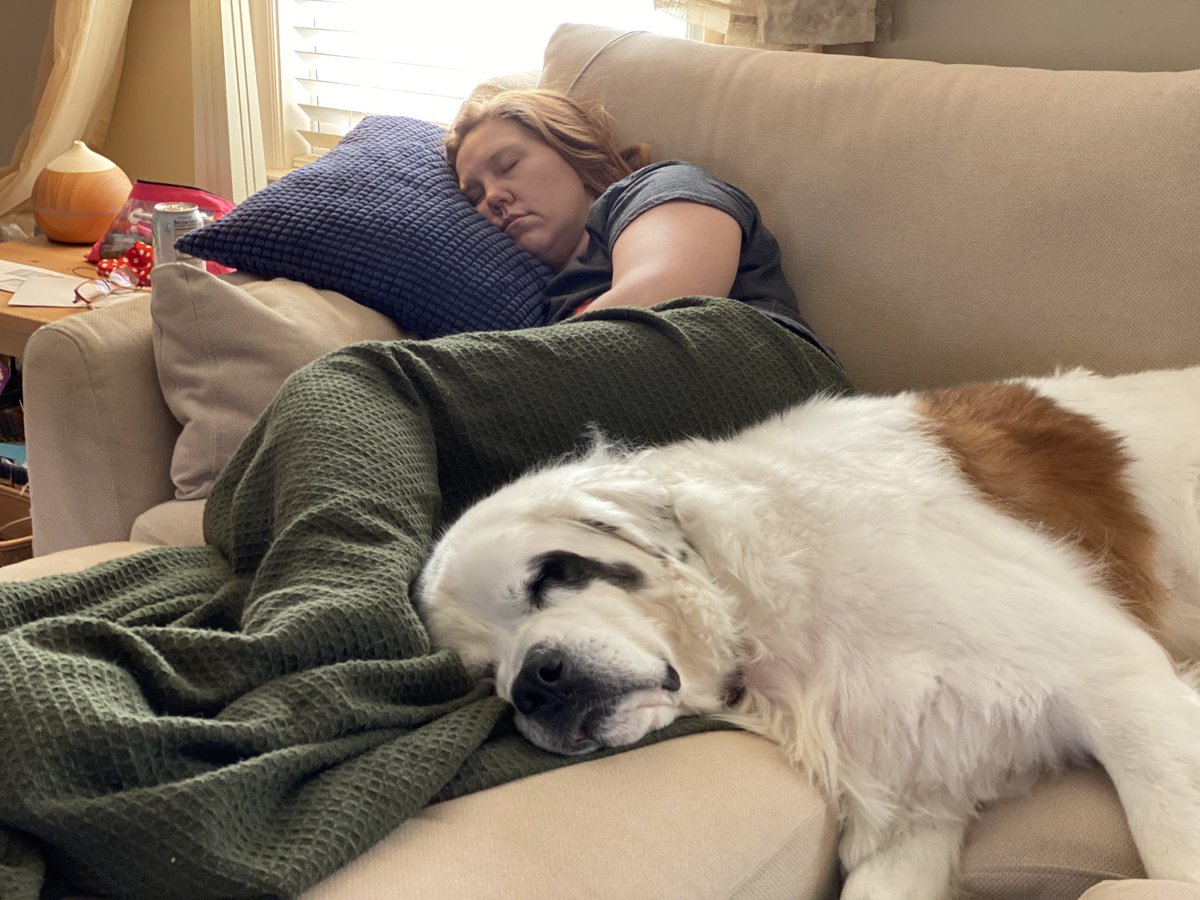 JonWelbornNC's tweet photo. They have had a rough day… #facesofamber #welborndogs https://t.co/IhlnPTu0Wa
