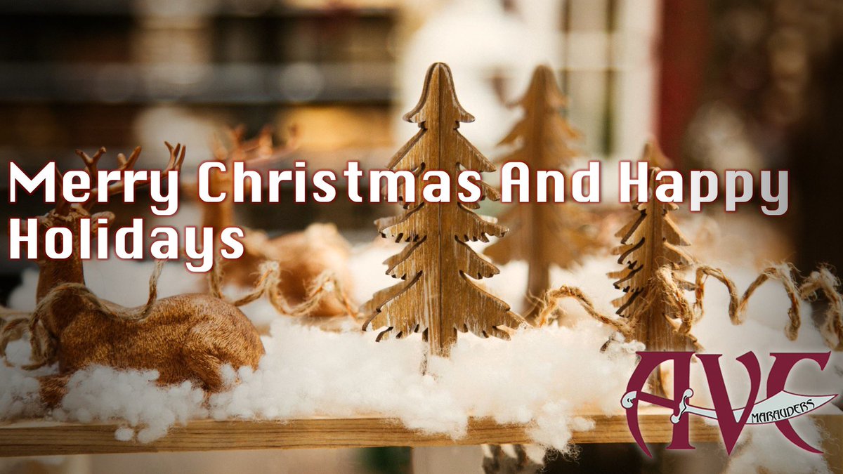 Our team would like to wish everyone  a Merry Christmas and a Happy Holidays