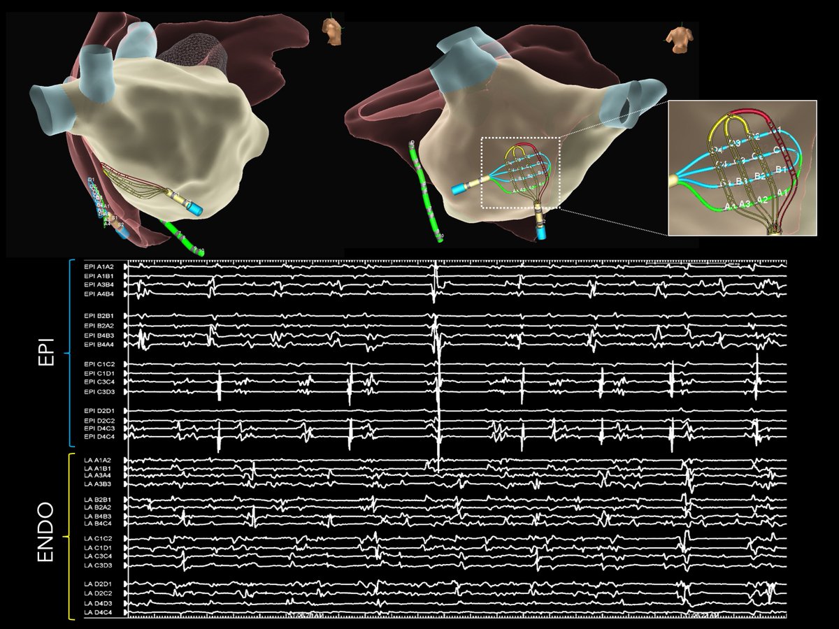 Roderick Tung tweet media