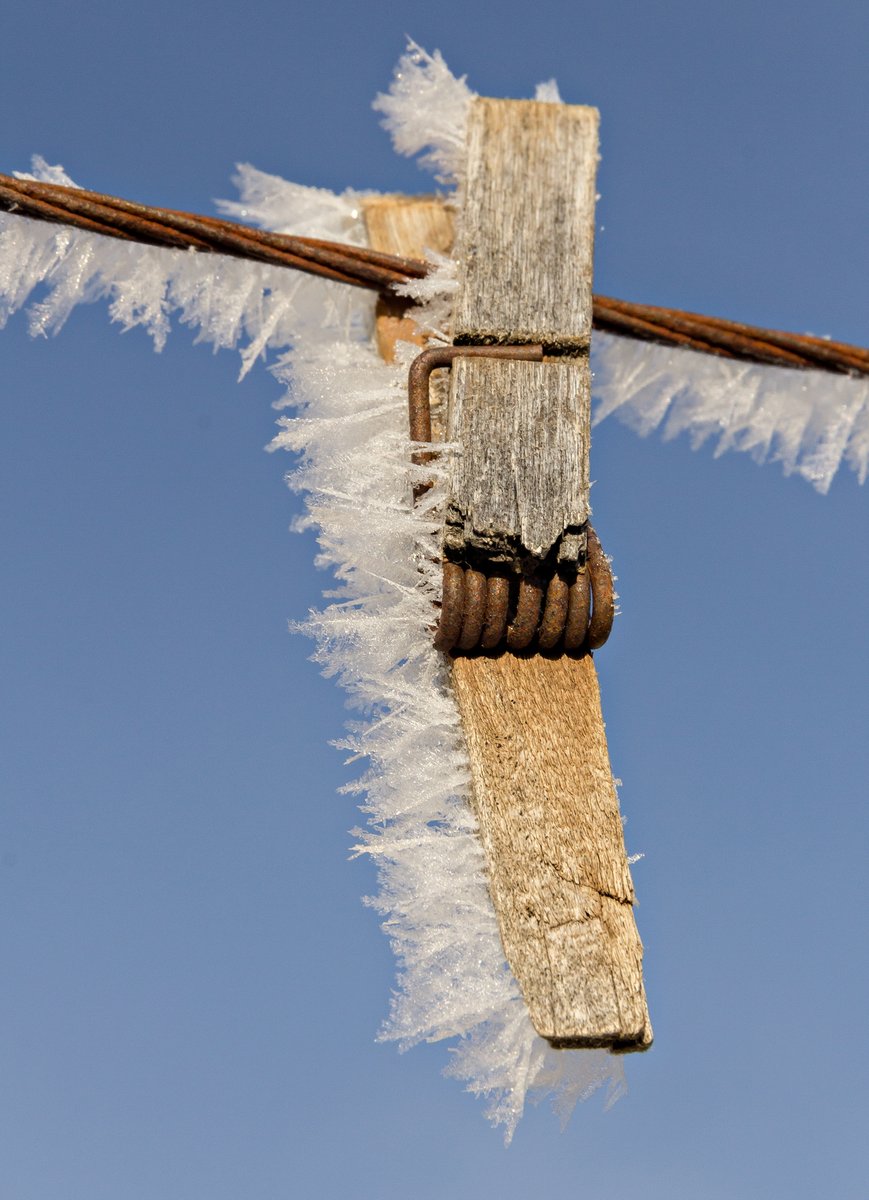 ABfoothillsWX's tweet photo. -27C with a wind chill of -38C in #RedDeer at noon.
It's frosty out there 🥶
Merry Christmas! https://t.co/LrbC9pJ7pf
