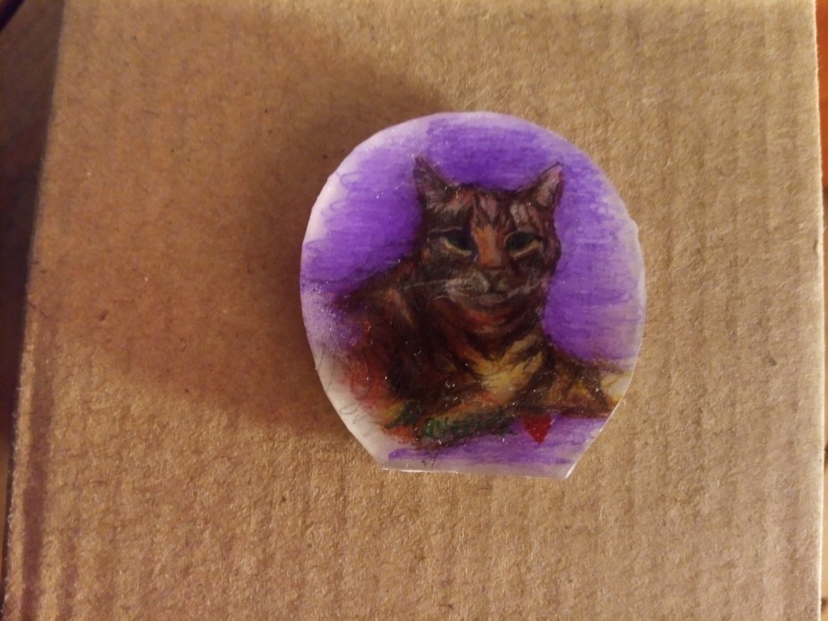 KiwiClareBear's tweet photo. I may have paused the selling side of my crafty pursuits for a while but I still enjoy making wee bits of pieces for friends &amp; family. Here's a wee fridge magnet I made of my sister's cat Maverick. (Hand drawn with budget coloured pencils) https://t.co/9M1XVHSjOg