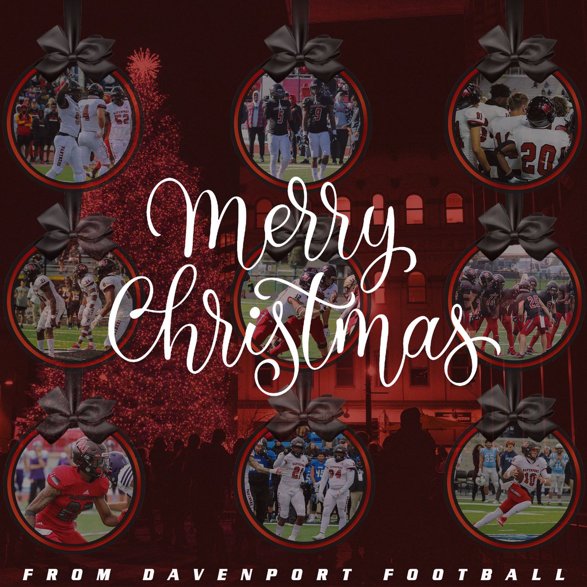 Merry Christmas, Panthers!! 🎄🐾