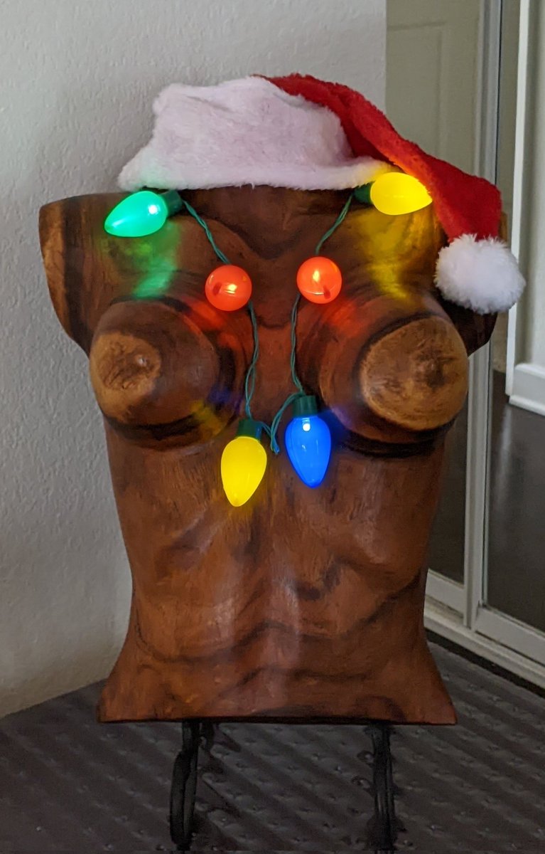 MtnGurl5's tweet photo. The tatas are very festive today! #SeasonsGreetings https://t.co/kGnwsoKNjC