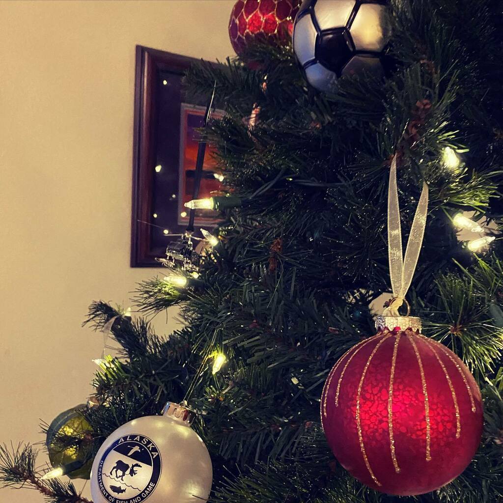 Merry Christmas. May the warmth of the season surround you. “Therefore the Lord Himself will give you a sign: Behold, the virgin shall conceive and bear a Son, and shall call His name Immanuel.” Isaiah 7:14 NKJV #MerryChristmas2021 #JesusIsBorn #HappyBir… instagr.am/p/CX6tWPePT9P/