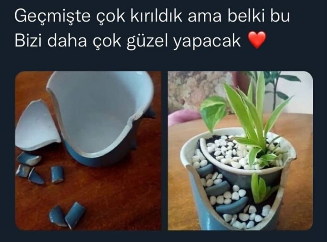 Ferat (@ferat89578562) on Twitter photo 