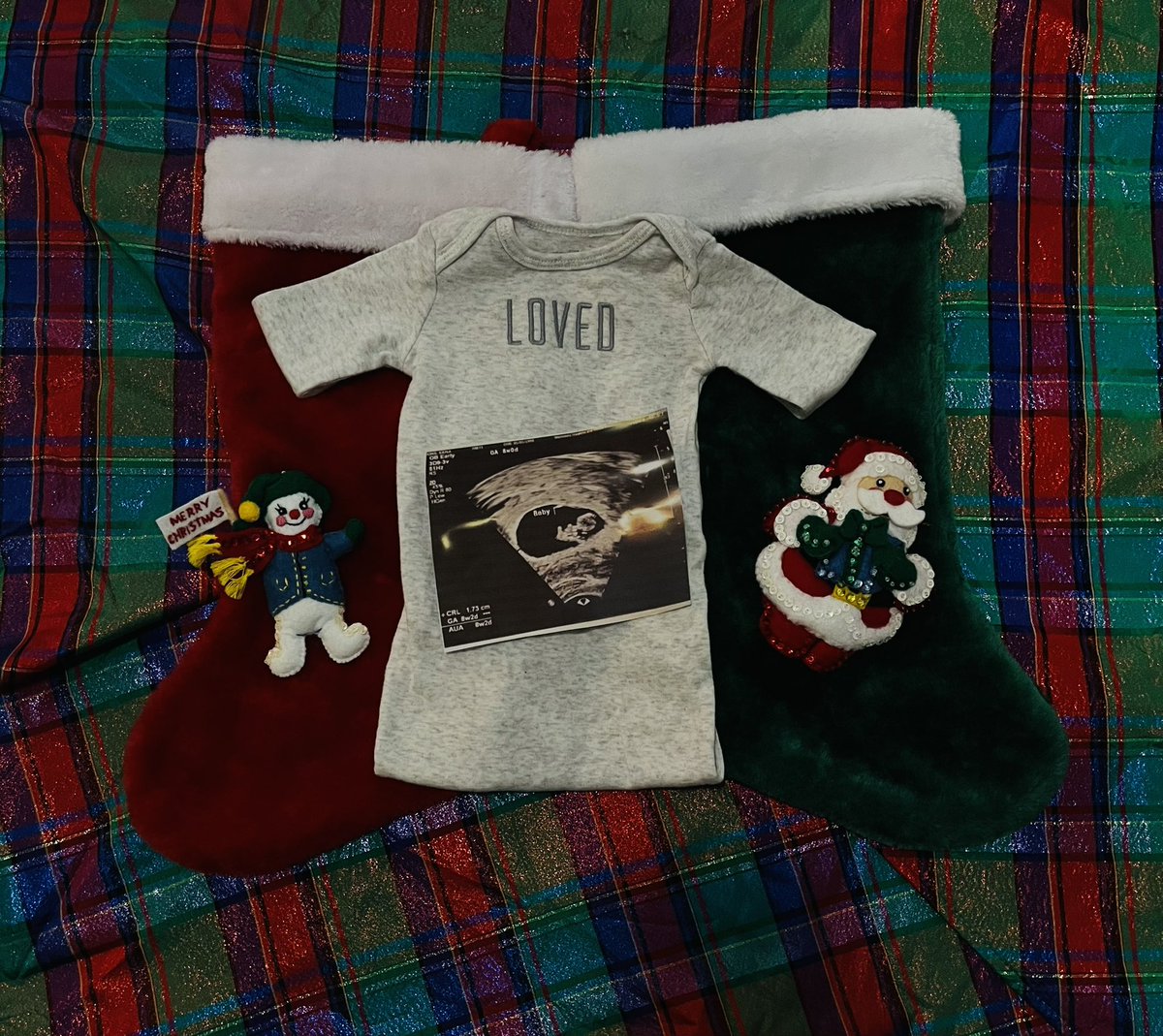 coachtk__'s tweet photo. {Our} newborn King coming July 2022. https://t.co/ICqeMdapIi