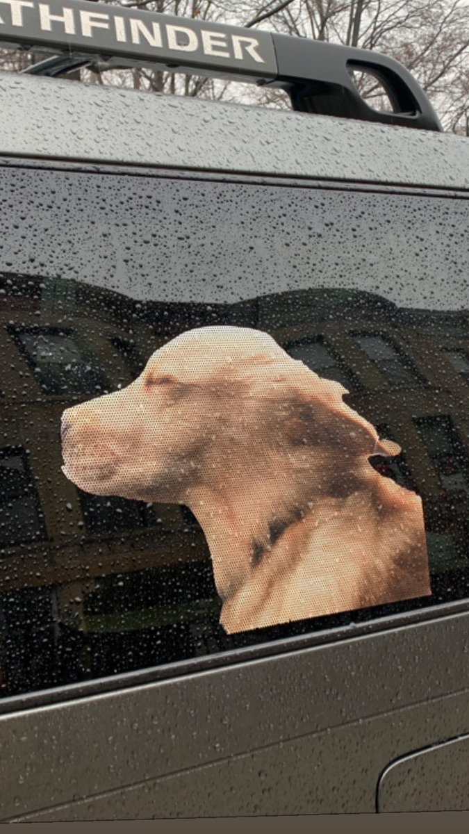JorgeTweets's tweet photo. It was a big risk, but I also put this sticker on your car. I hope you like it https://t.co/w45V1JrdVI