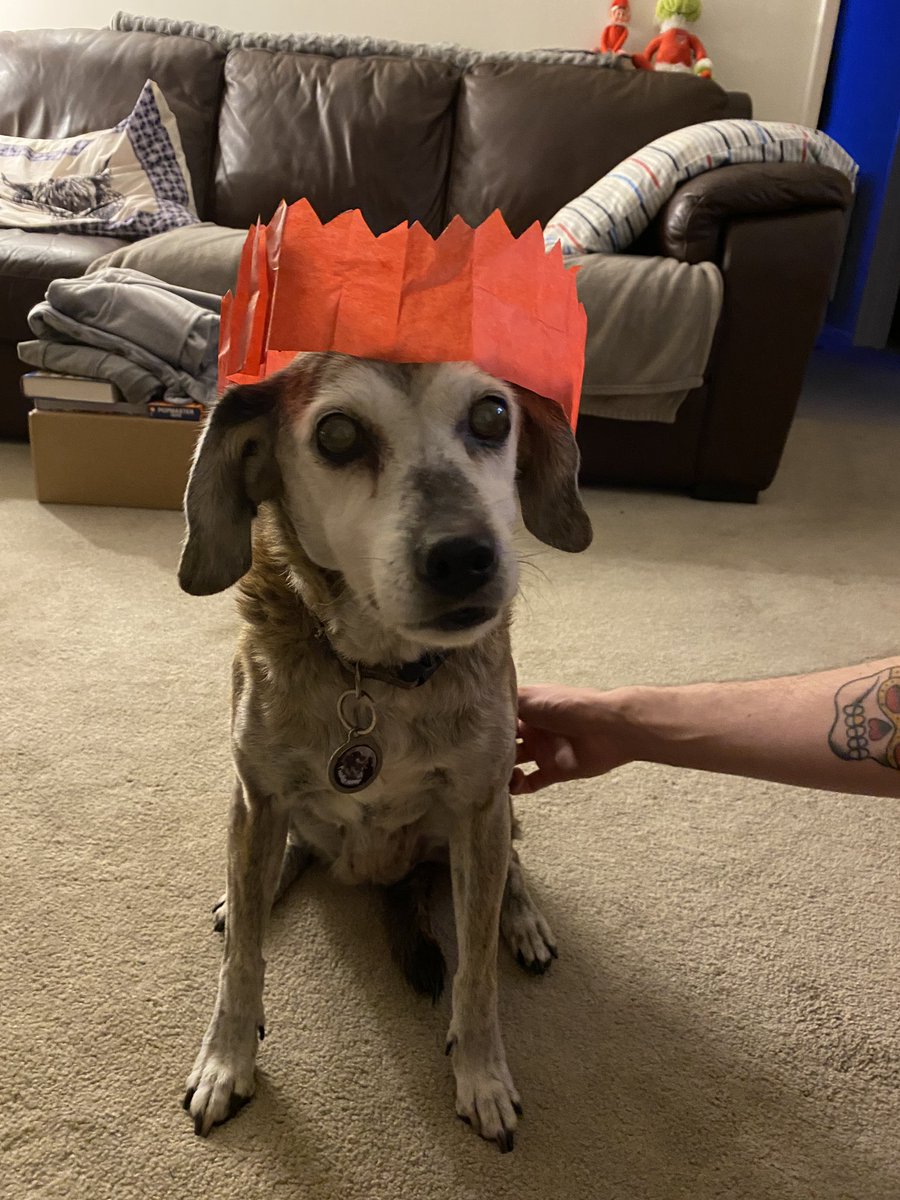 PurpleSector50's tweet photo. Mango wishes everyone a Merry Christmas🎄 https://t.co/Z5AnBHOj9C