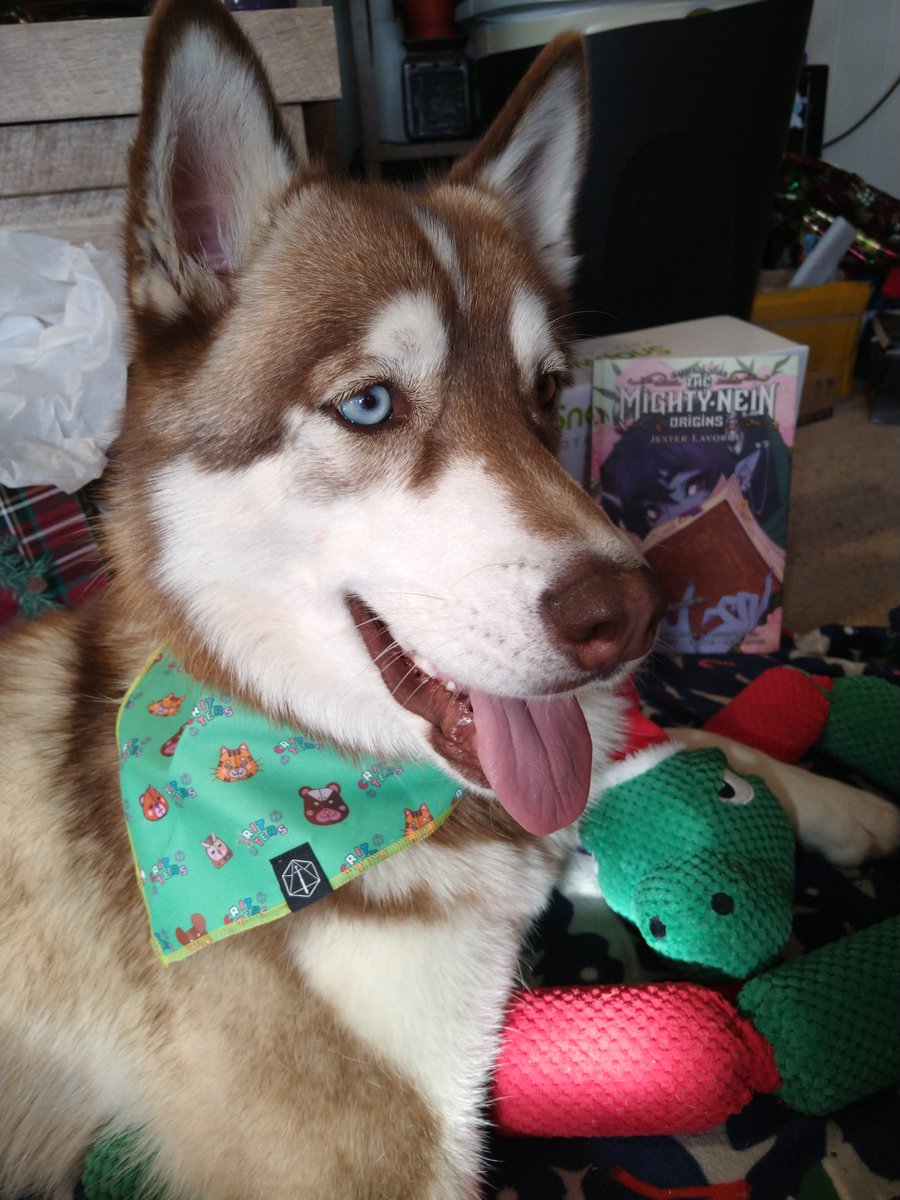 mossrotts's tweet photo. leshi's modeling the #CriticalRole reversible bandanas, thanks @zenrawings and your twitterless spouse! https://t.co/11ba2yYt0e