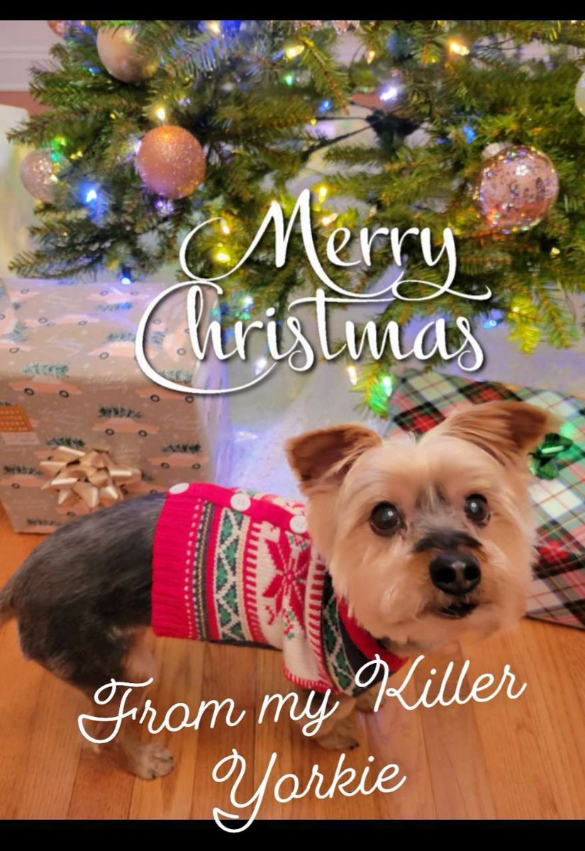 Merry Christmas!