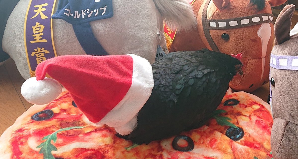 CrewmemberFive's tweet photo. @sensitivepigeon Merry Birthmas, head of the flock! ❤️💚❤️💚 https://t.co/vC1eSonwwG