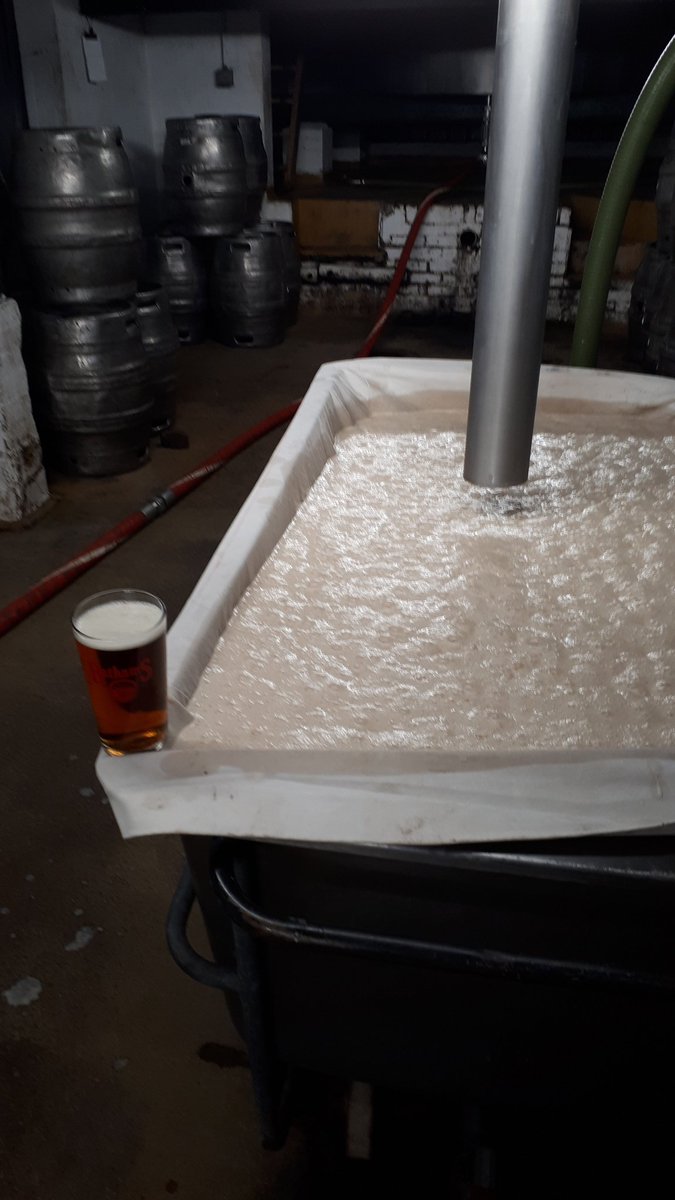 gooddelph's tweet photo. Nice crop of Christmas day yeast, brewers perk bostin too https://t.co/m07OICyJI3