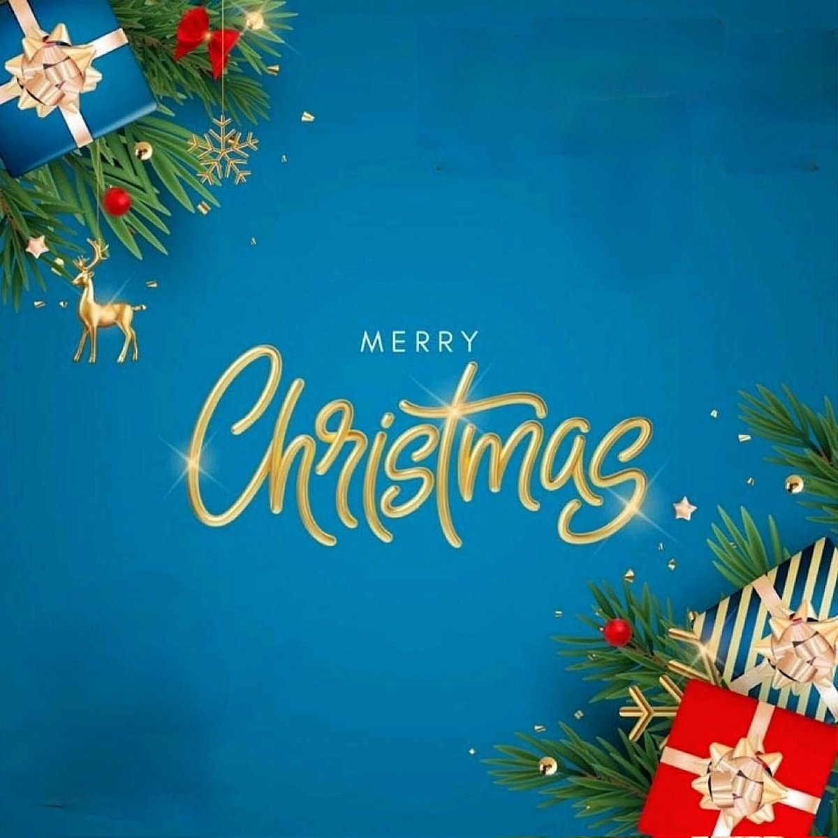 What a wonderful time for reflecting on this wonderful Day! Happy Holidays 🐺