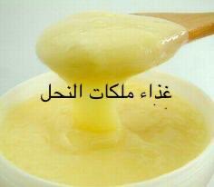 غذاء ملكات النحل