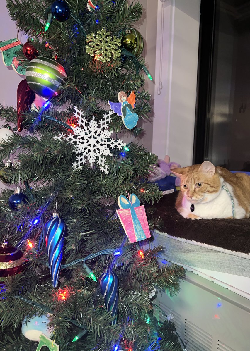 stinkydacat's tweet photo. feeling festive 🎄 https://t.co/3AZa7ph9nL