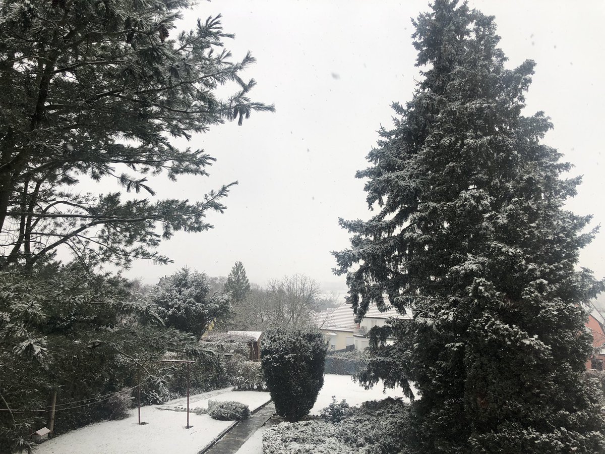 Wunderbares Weihnachtswetter heute!