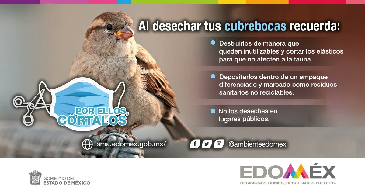 EDAYO_Metepec's tweet photo. Siguiendo estos 3 pasos, ayudamos a desechar de manera correcta nuestros cubrebocas y cuidar de la fauna silvestre. #PorEllosCórtalos

@ambienteedomex https://t.co/YkQL6kFzxr