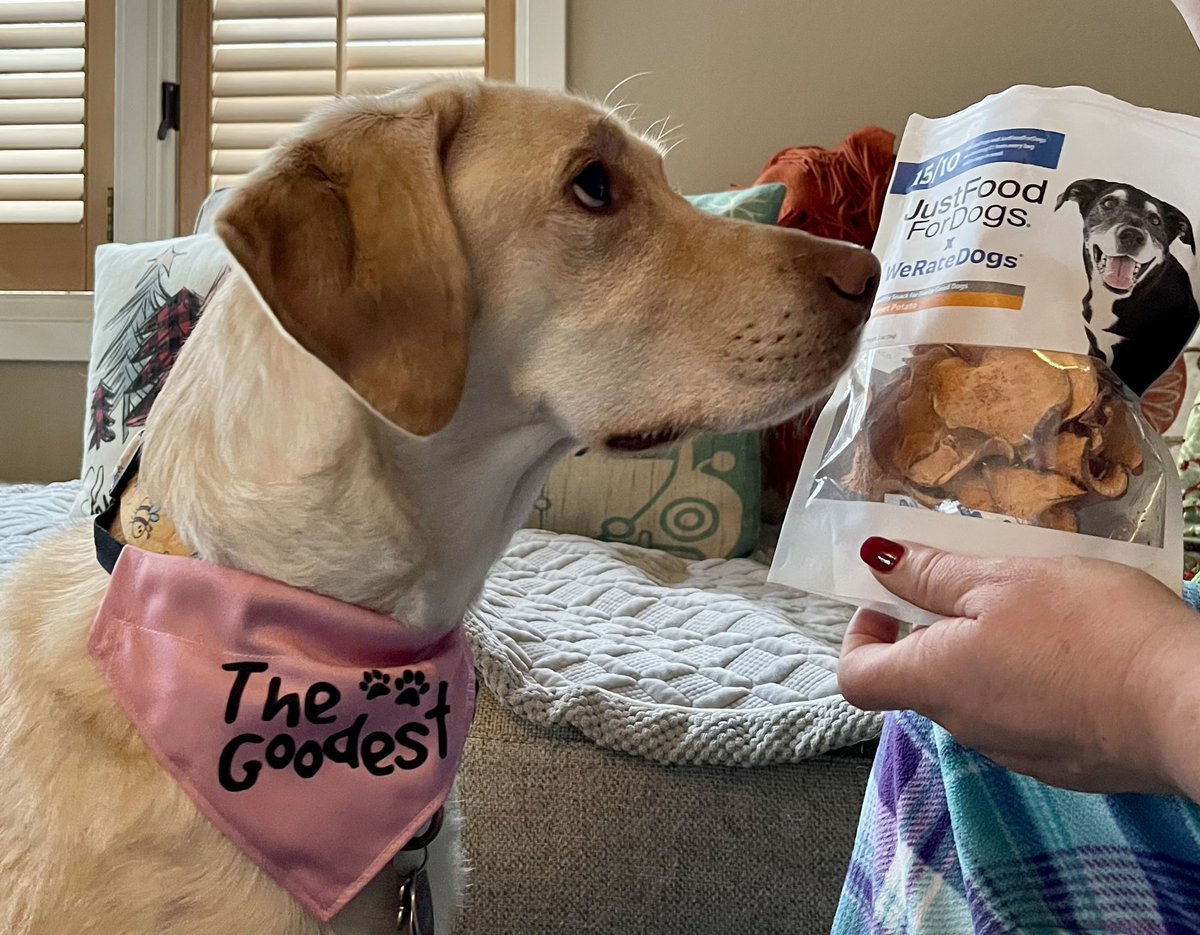 Get in my belly!
<a href="/dog_rates/">WeRateDogs</a> <a href="/15outof10/">15/10 Foundation</a> <a href="/dogfather/">matt</a>