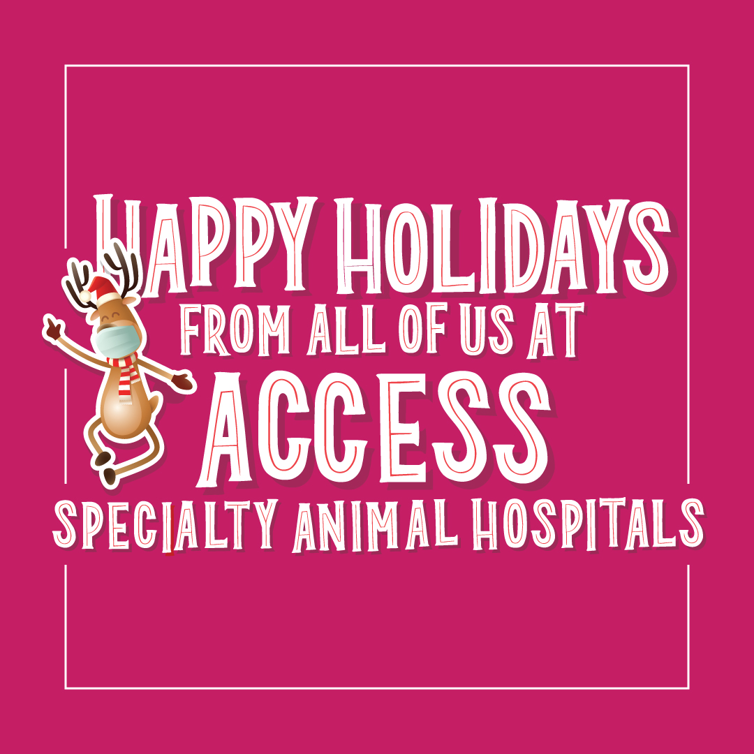 ACCESSAnimalHospital (@acc_la) on Twitter photo 