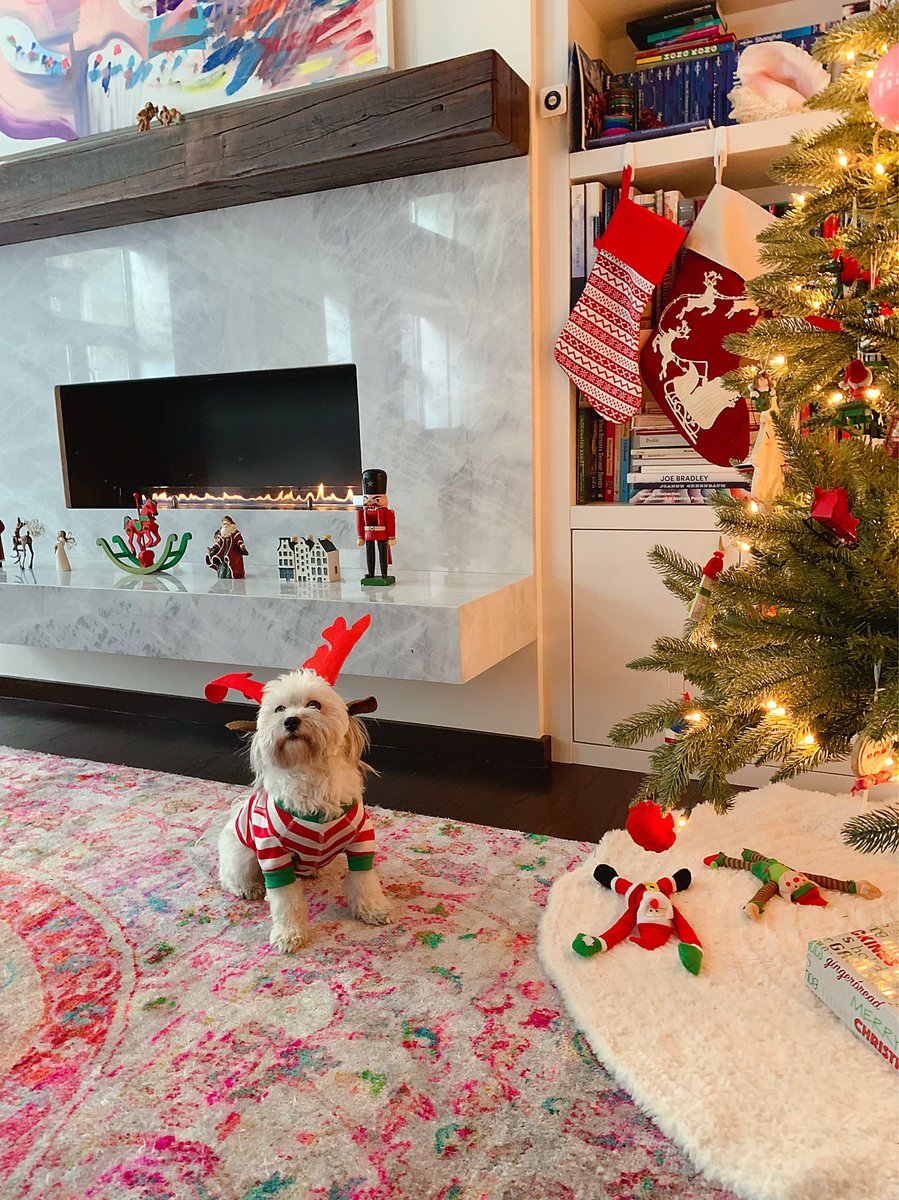 venus 🧜‍♀️ tweet media