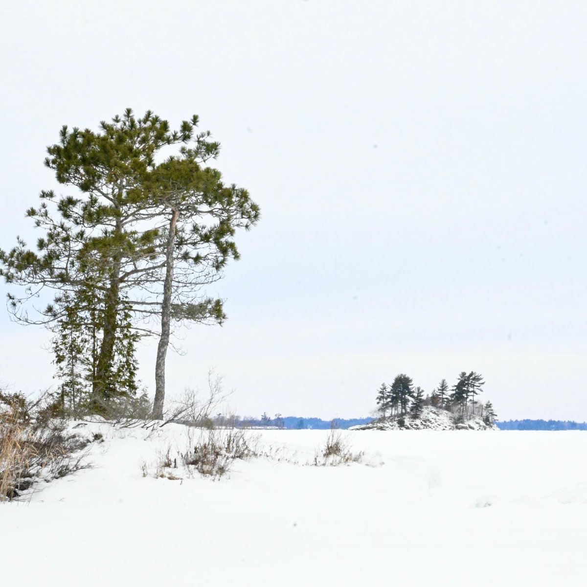 DevonsBookPicks's tweet photo. For those fellow book lovers and creative folks, let's show off your creative side. Here’s mine. I'm a nature photographer, what's yours? #Creativetrend https://t.co/vXmuXj52Mx