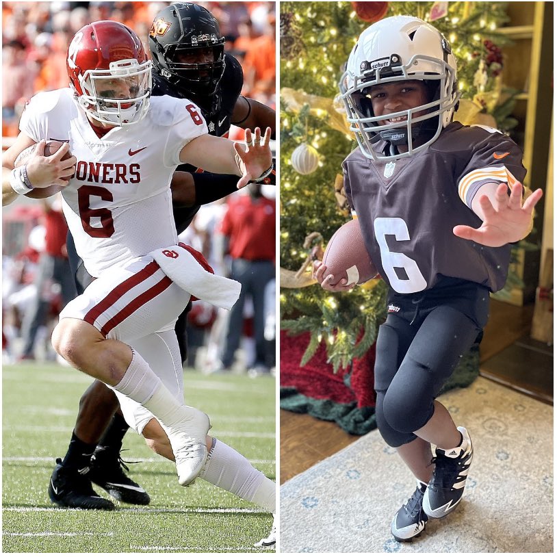 David Starry tweet media