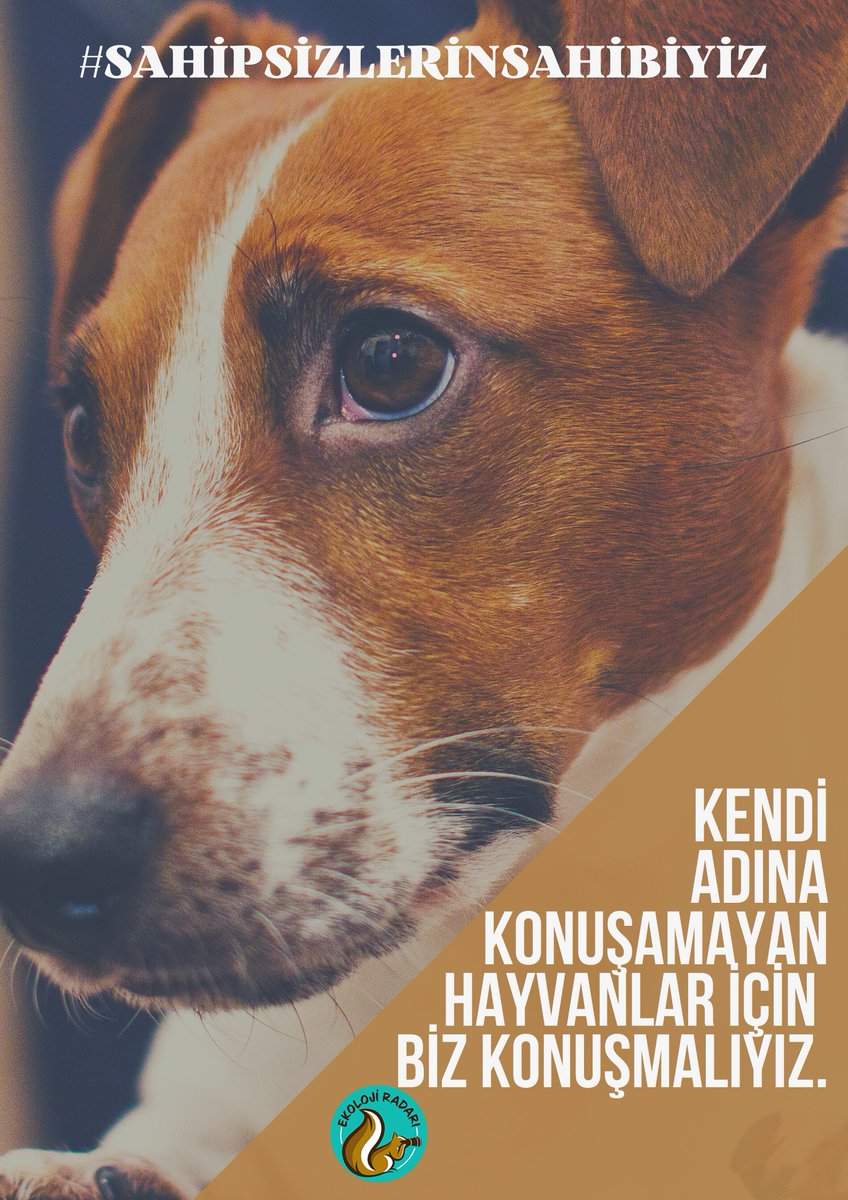 Ekoloji Radarı tweet media
