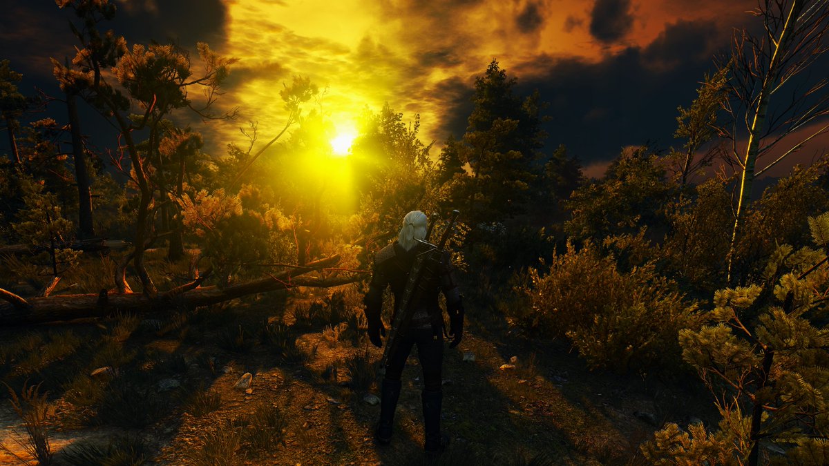 cidrolehein's tweet photo. Some pictures of the Witcher.

Game Editor: Cd Red Project

#thewitcher #thewitcherexploration #thewitcherphotography #moon #thewitchercaptures #virtualphotography #instagamer #ingamephotography #jeuxvidéo #jeuxvideo #photomode #screenprint #videogames #cdprojektred https://t.co/Or5j5UGX6b