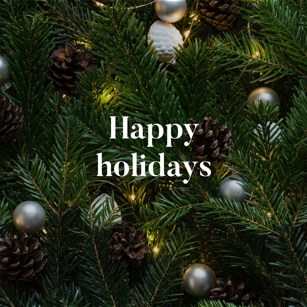 Happy Holidays to you and your loved ones from the Chatterson team! Stay warm!