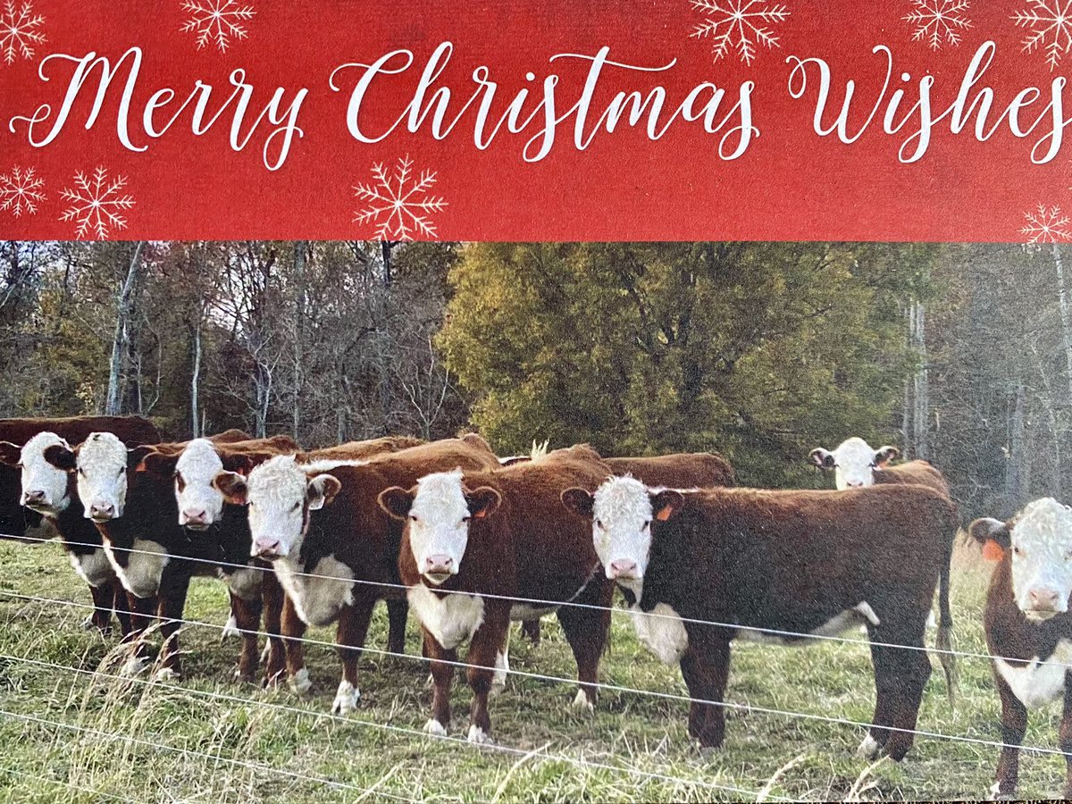 morganpldhrfd's tweet photo. Merry Christmas wishes from our family to yours. #Christ #Christmas2021 #MerryChristmas2021 https://t.co/LPUjSWuYiD