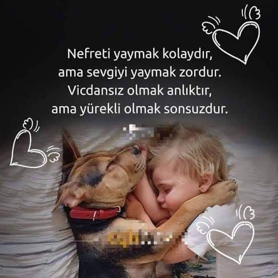 #SokakHayvanlarıSahipsizDeğil
