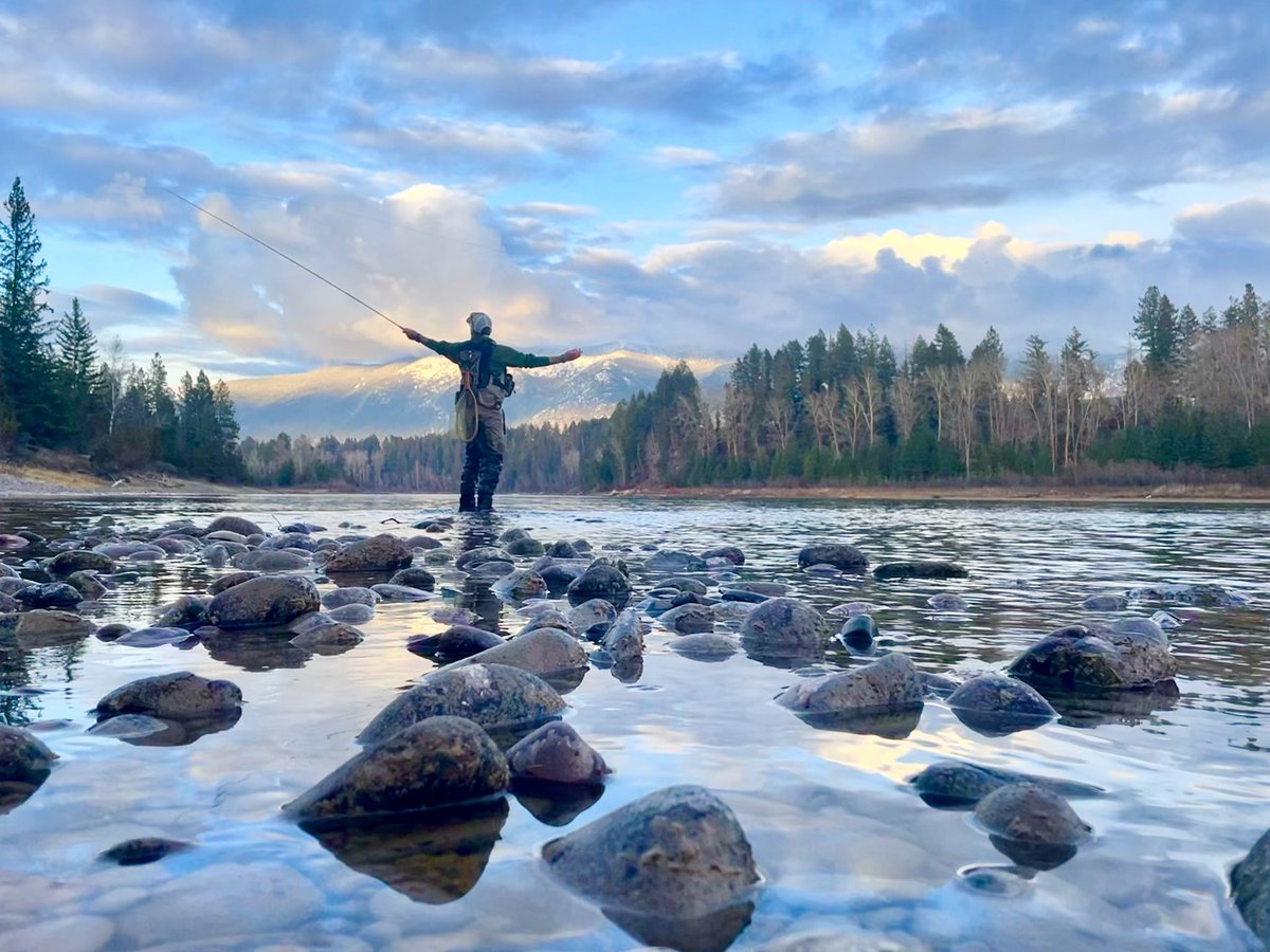 scotteckland's tweet photo. #flyfishing #flatheadriver #whitefish #Montana https://t.co/F9WcoFMCWR