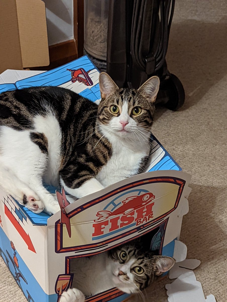 The fish bar is open (sort of)