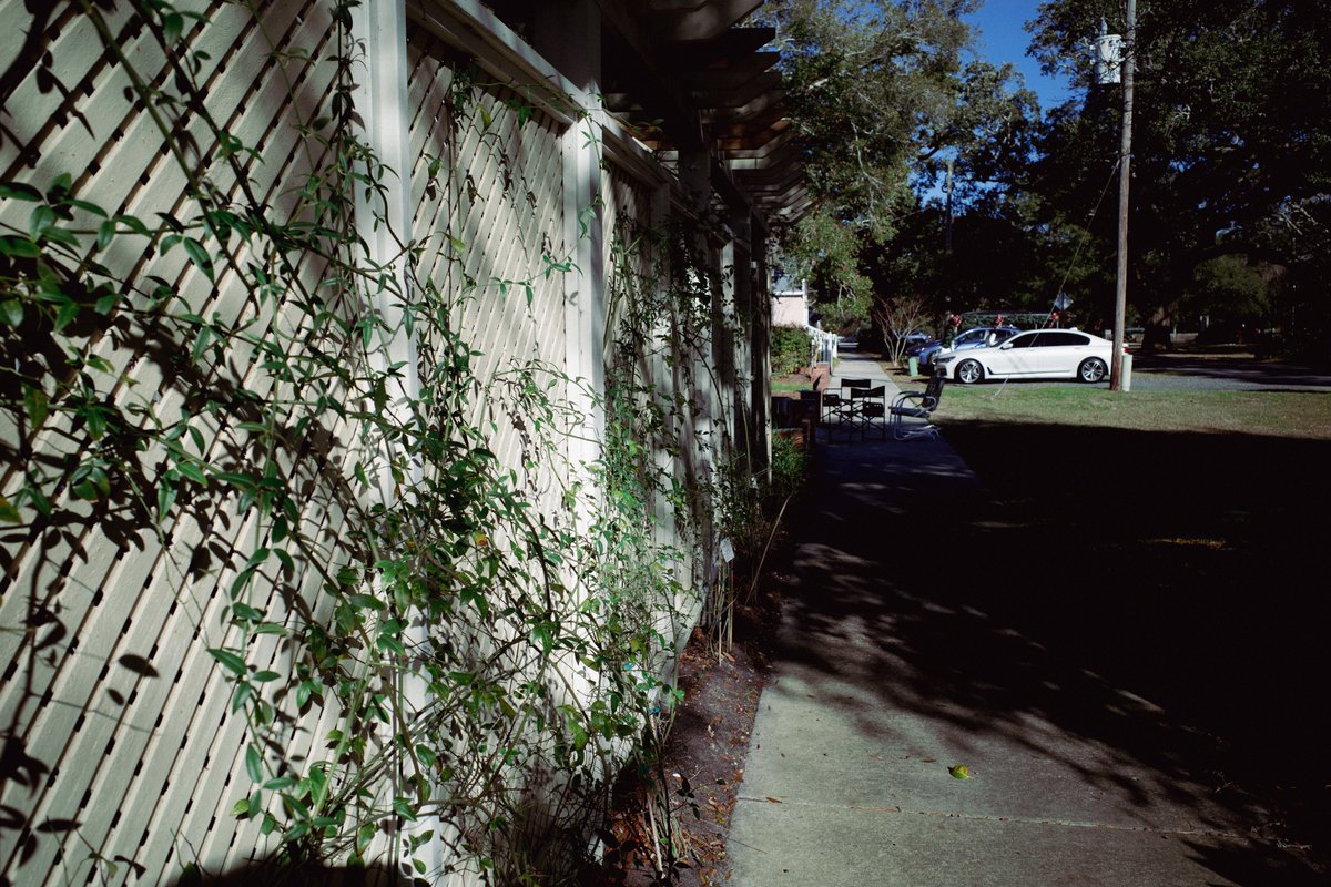 jonathon tweet media