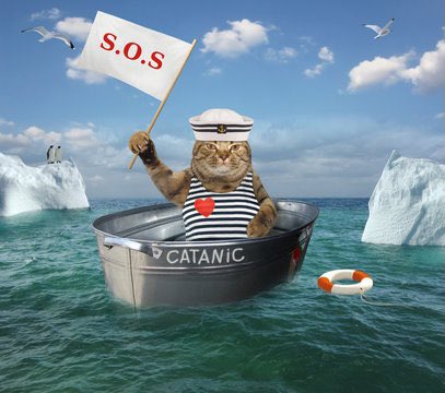 VincentVanDough (@vince_van_dough) on Twitter photo 