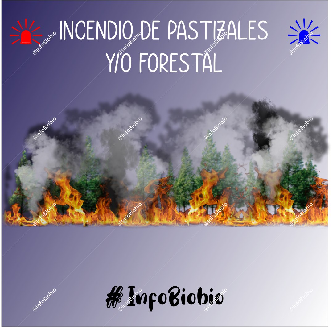 infobiobio's tweet photo. 🚨 #Mulchen 🚨

🌎 Alhuelemu a 3 km peaje Las Maicas
🚒 B2
✏️ Incendio de pastizales.
⏰ 22.40

#InfoBiobío https://t.co/uSVUufrsJk
