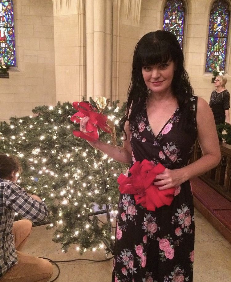 pauley_i's tweet photo. Merry Christmas to all my Dear fans all over the world ❤️❤️❤️❤️❤️❤️❤️❤️❤️❤️❤️❤️🌲🌲🌲🌲🌲🌲🌲🌲 https://t.co/C4TohpUaEJ
