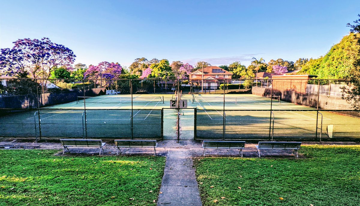 STARStv's tweet photo. King's Park - AJH Sports on #Google https://t.co/euPgtFtFd7 https://t.co/XK6GNdjzmG