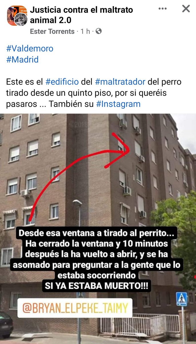 Andrea94748955's tweet photo. El pobre animal ha sido arrojado desde esta ventana.
👇 https://t.co/a8P4TmdxYD